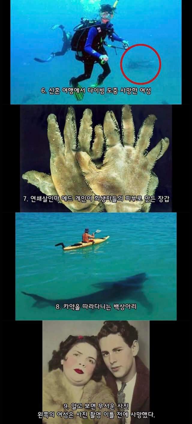 FB_IMG_1676868230250.jpg