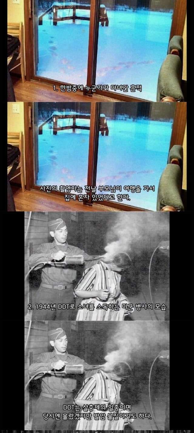 FB_IMG_1676868227055.jpg