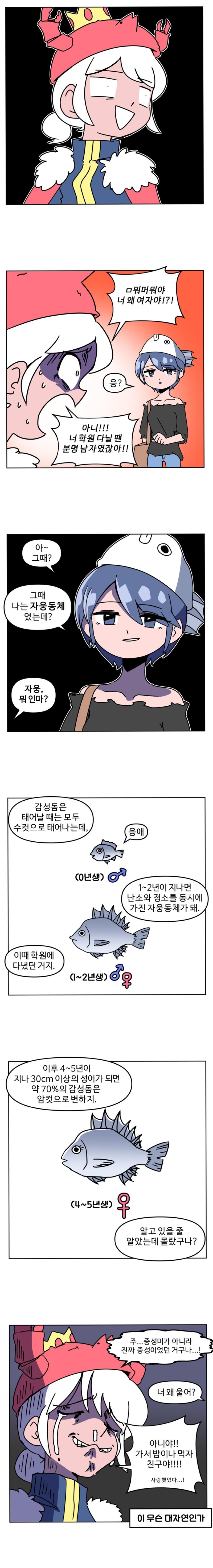 297946ee11d01a00ba969349d44a36ba.jpeg