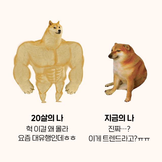 image.png.jpg