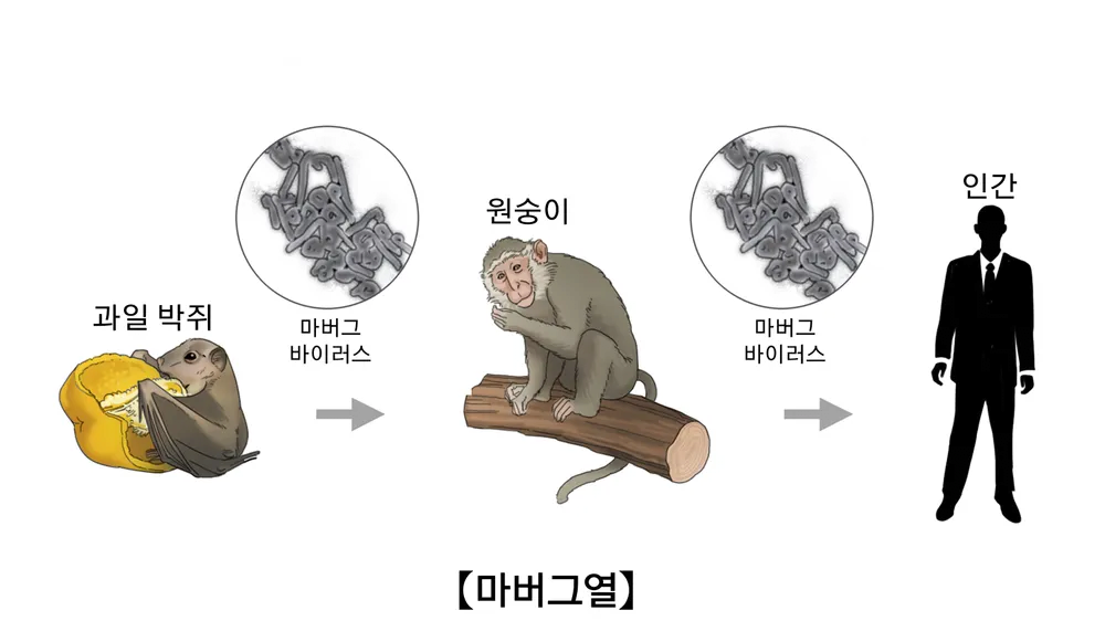 image.png 생물테러로 이용될 가능성이 매우 높은 병원체 모음