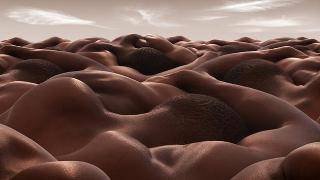 IMG_4208.jpeg