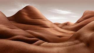 IMG_4212.jpeg