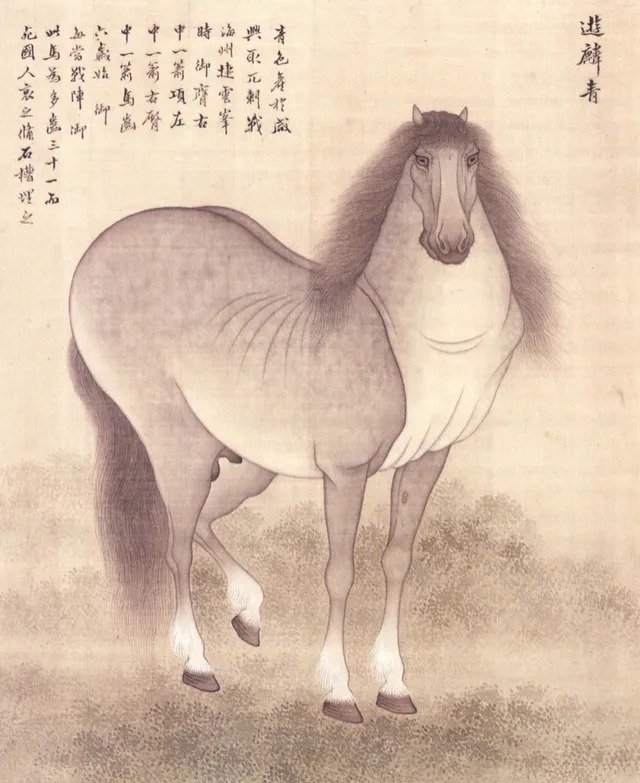 thumb_crop_resize (19).webp.ren.jpg