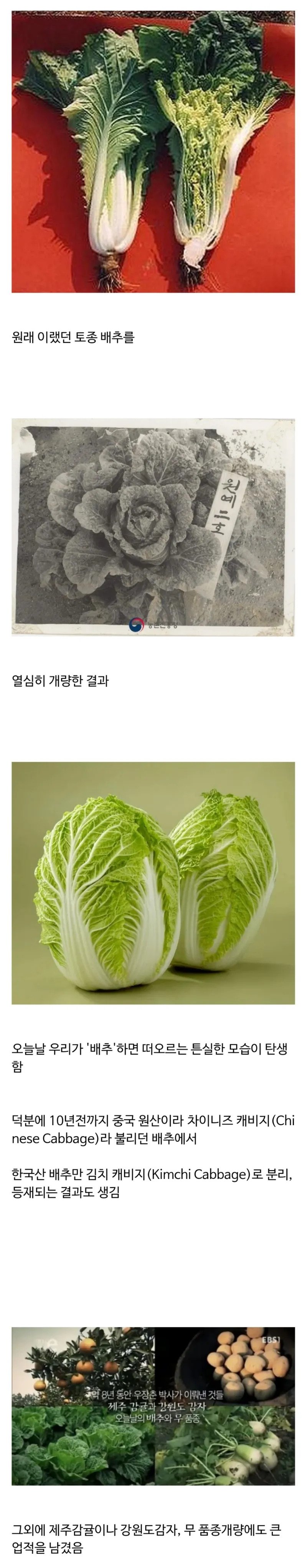 thumb_crop_resize.webp.ren.jpg