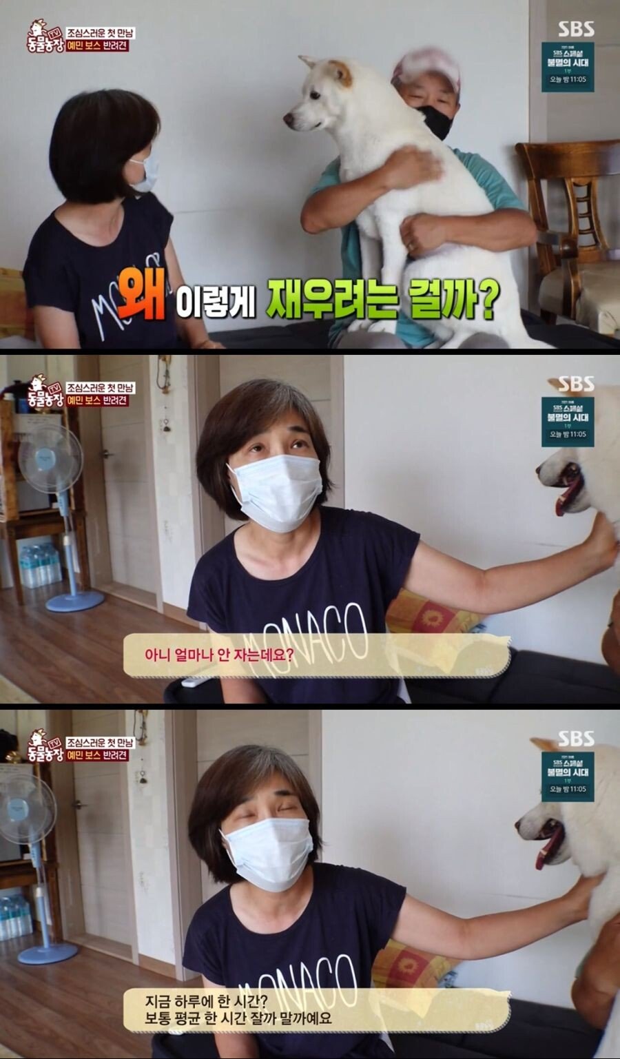 Internet_20210817_103045_2.jpeg 불면증 걸려서 잠 못자는 개.jpg