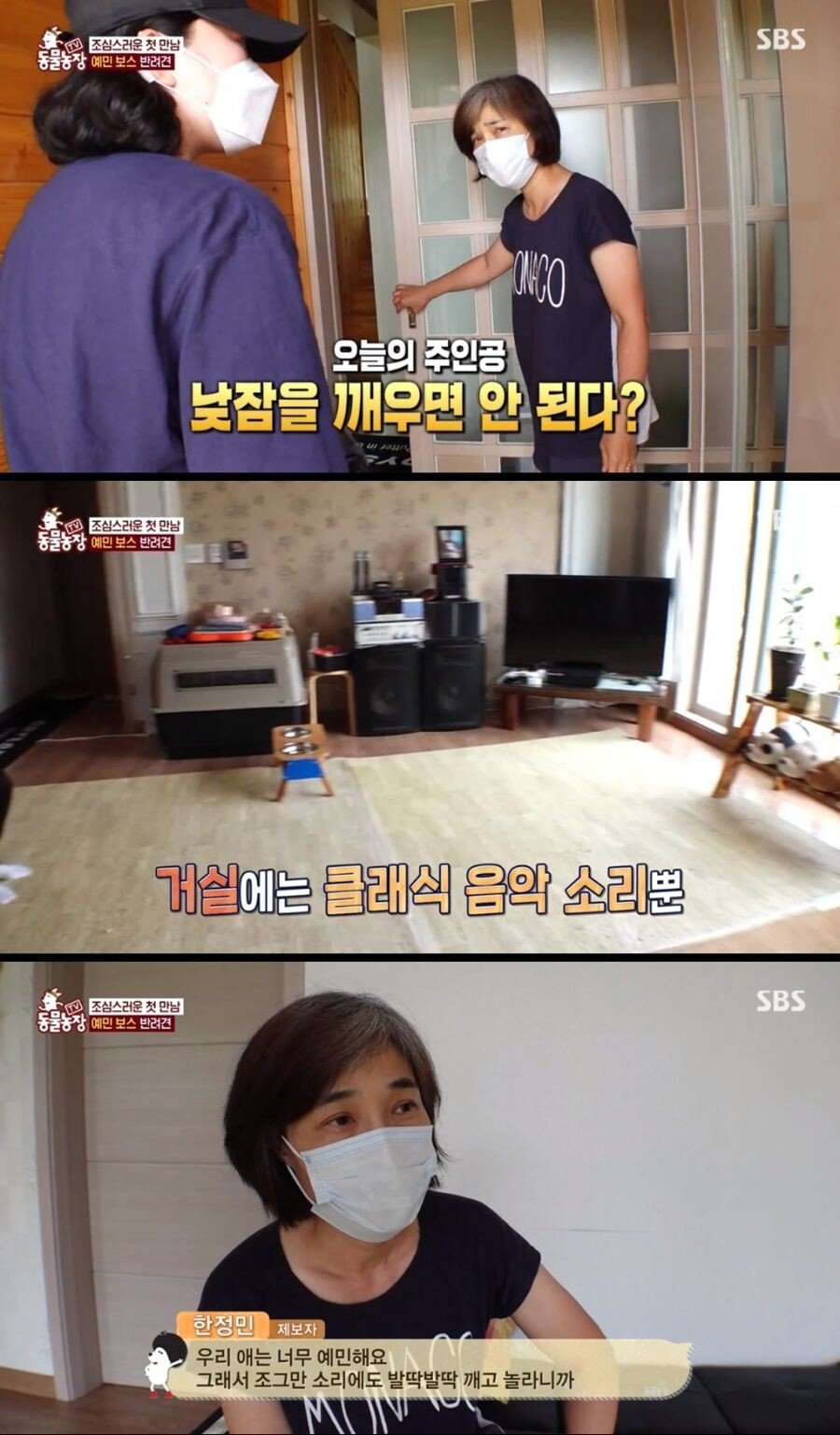 Internet_20210817_103045_1.jpeg 불면증 걸려서 잠 못자는 개.jpg