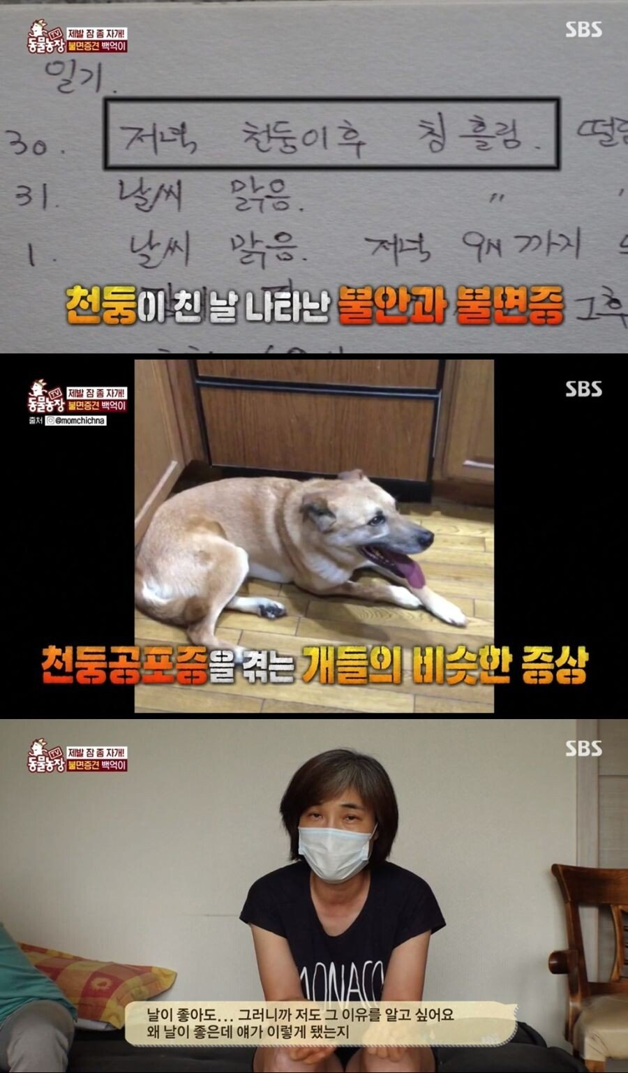 Internet_20210817_103045_6.jpeg 불면증 걸려서 잠 못자는 개.jpg