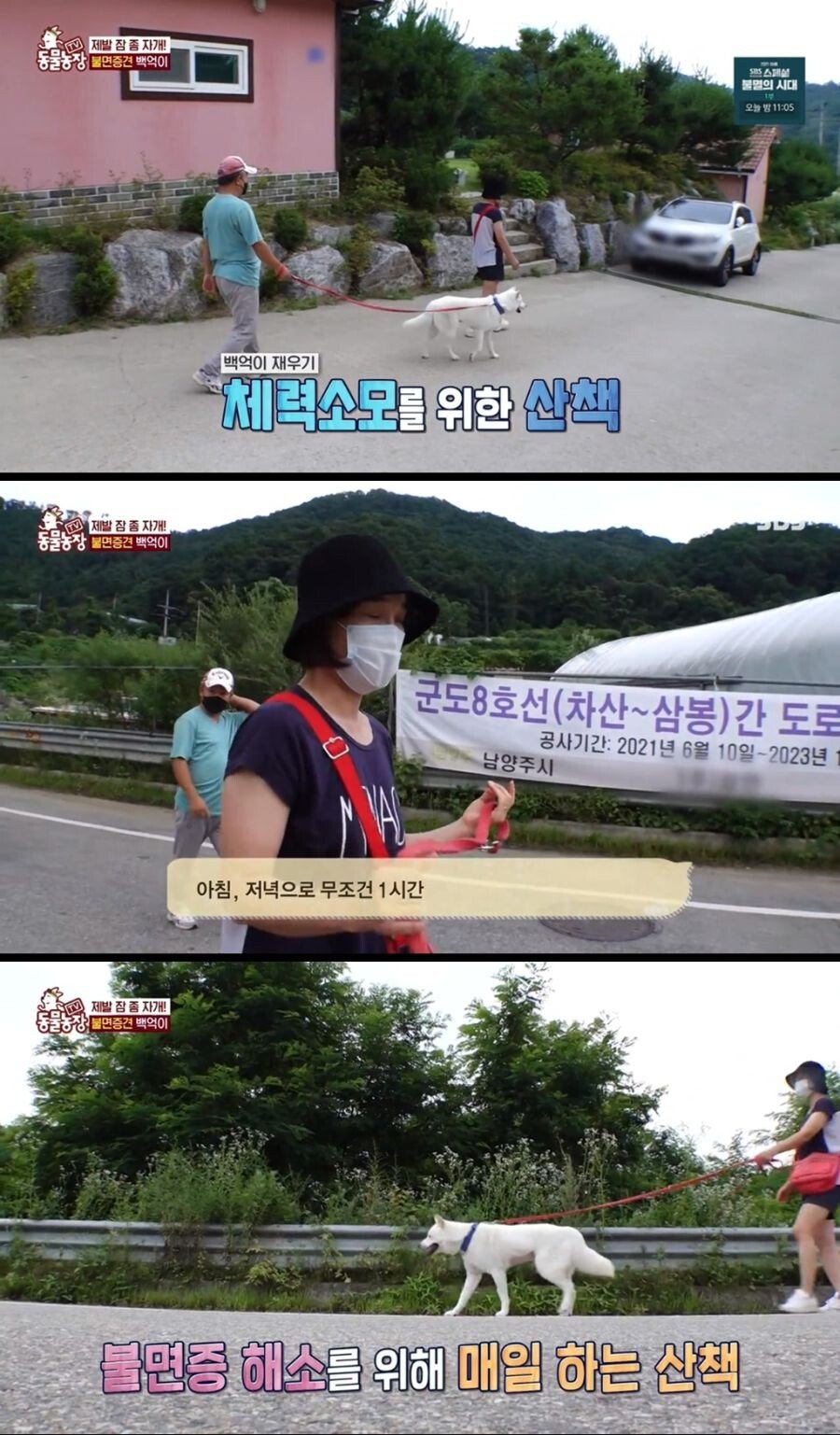 Internet_20210817_103045_4.jpeg 불면증 걸려서 잠 못자는 개.jpg