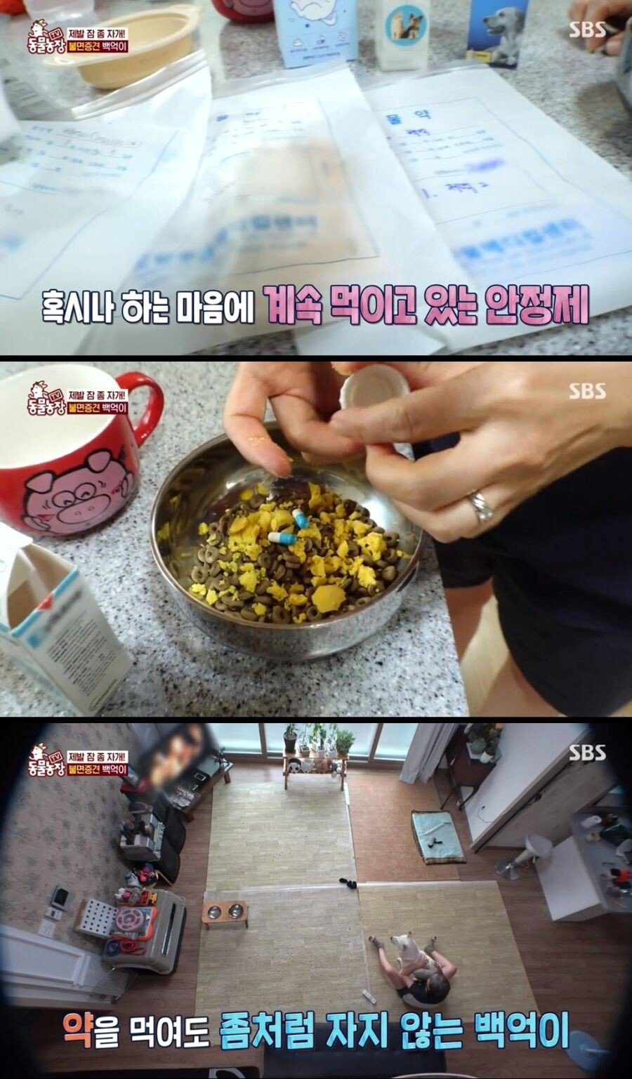 Internet_20210817_103045_7.jpeg 불면증 걸려서 잠 못자는 개.jpg