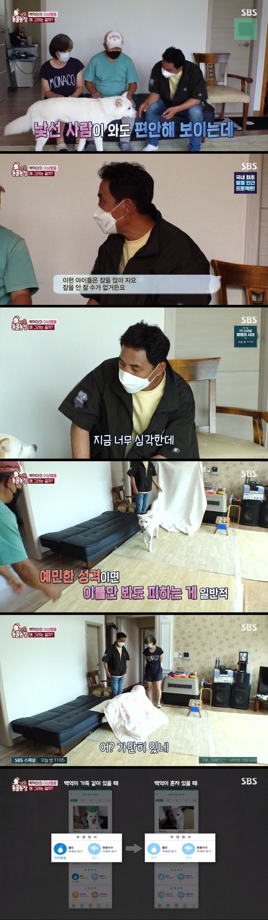 Internet_20210817_103045_9.jpeg 불면증 걸려서 잠 못자는 개.jpg