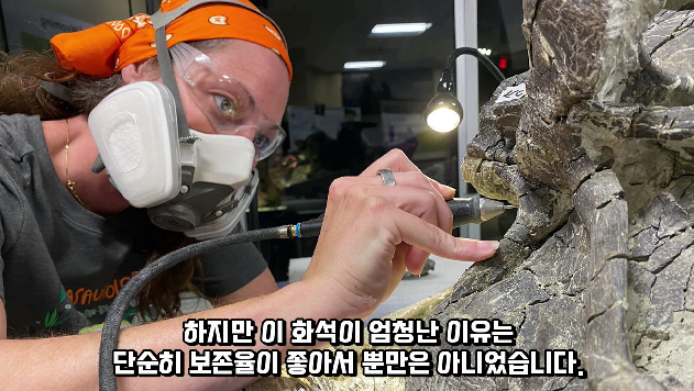 2024-01-26 15 02 52.png 공룡 [알로사우루스] 피부 화석 발견