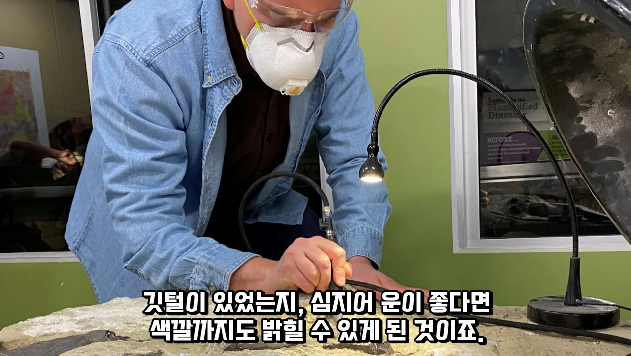 2024-01-26 15 03 42.png 공룡 [알로사우루스] 피부 화석 발견