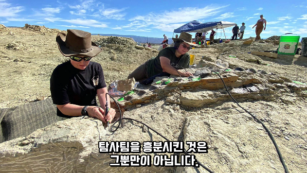 2024-01-26 15 03 47.png 공룡 [알로사우루스] 피부 화석 발견