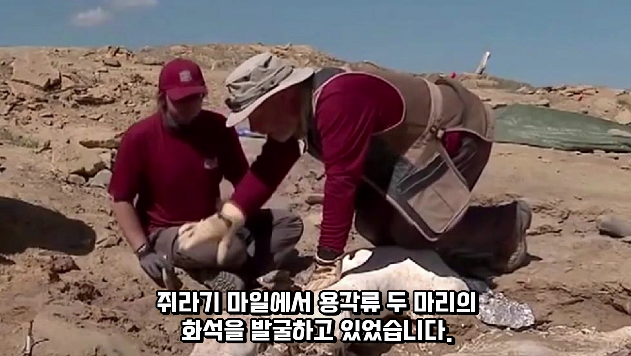 2024-01-26 15 02 13.png 공룡 [알로사우루스] 피부 화석 발견
