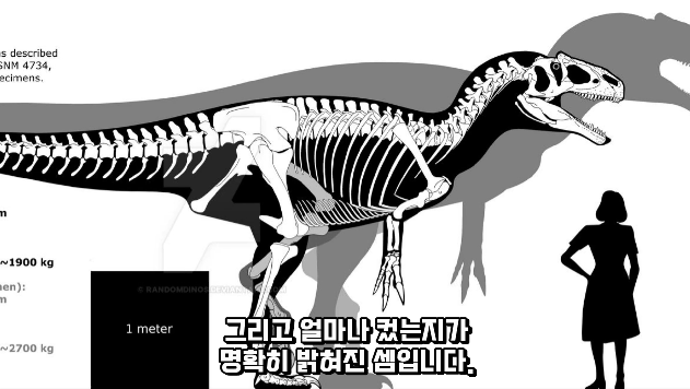 2024-01-26 15 04 35.png 공룡 [알로사우루스] 피부 화석 발견