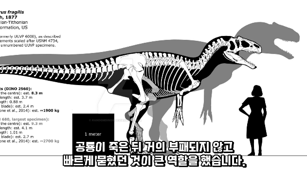 2024-01-26 15 03 07.png 공룡 [알로사우루스] 피부 화석 발견