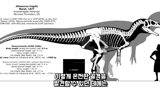 2024-01-26 15 03 02.png 공룡 [알로사우루스] 피부 화석 발견