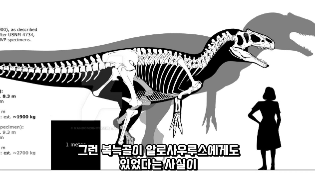 2024-01-26 15 04 33.png 공룡 [알로사우루스] 피부 화석 발견