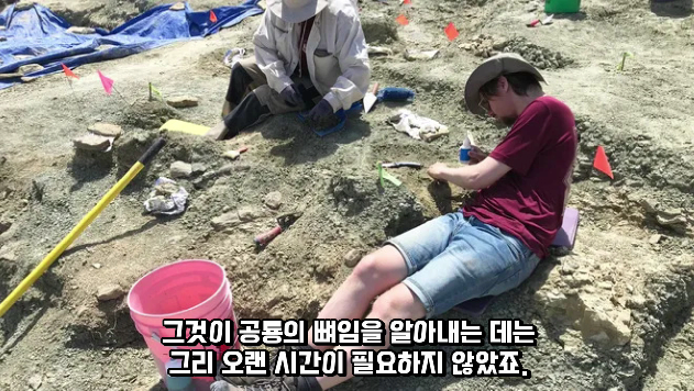 2024-01-26 15 02 33.png 공룡 [알로사우루스] 피부 화석 발견