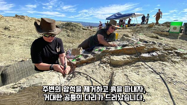 2024-01-26 15 02 38.png 공룡 [알로사우루스] 피부 화석 발견