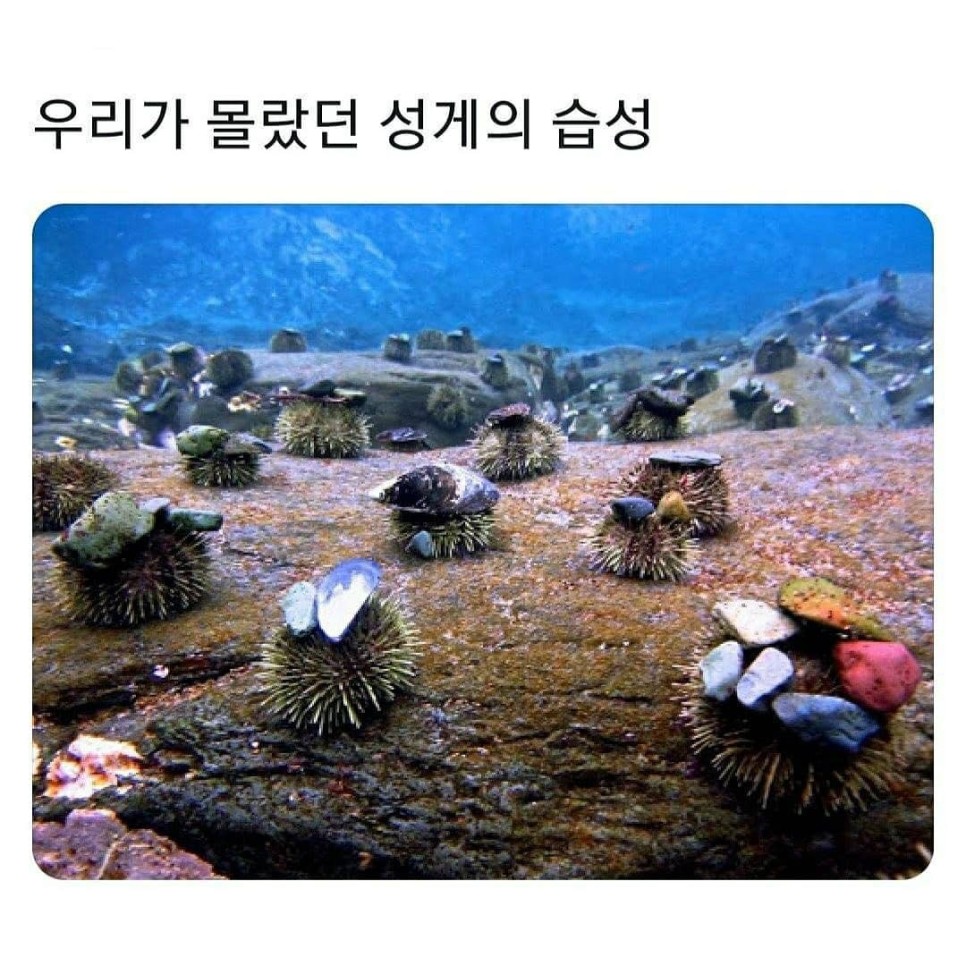 1.jpeg
