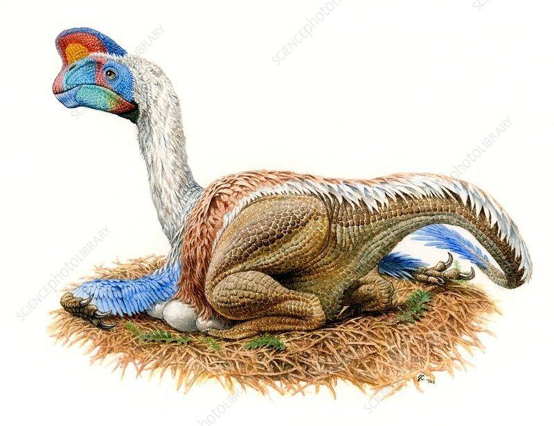 fa89908fb4f504167cf28643c0af747d.png.jpg