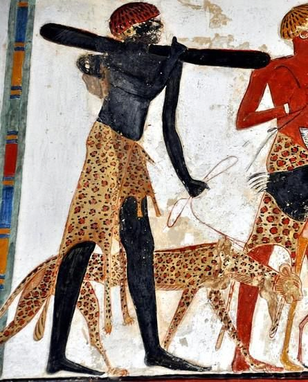 image.png 고대 이집트에서 사냥용으로 길들인 하이에나 및 치타
