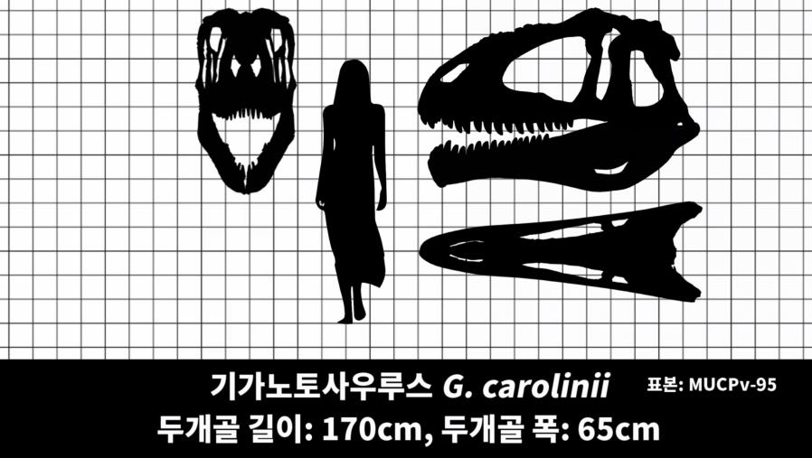 90339D5B-F338-4CEA-881A-59652B588D62.png.jpg