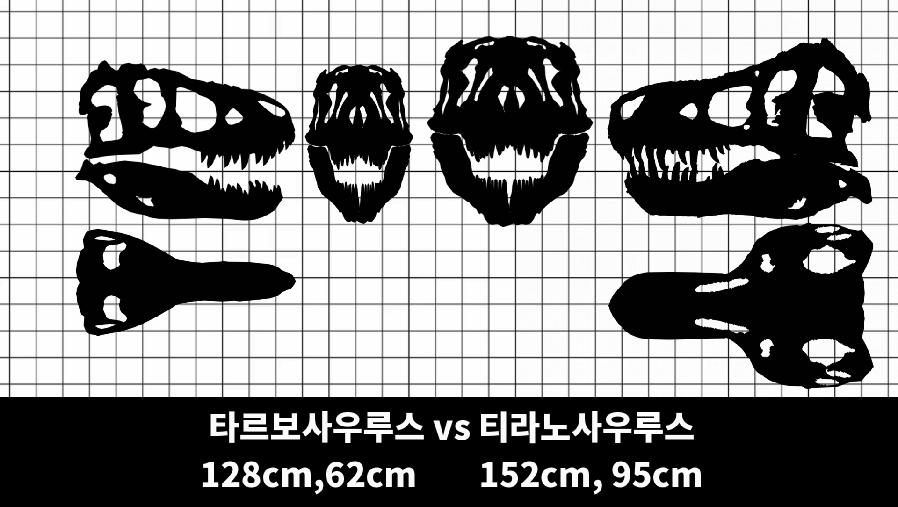 1337E10D-F235-4A7A-9AED-5799D5909987.png.jpg