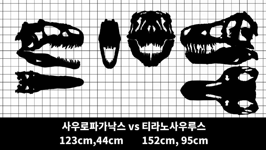 05C10951-5403-41F5-A4E5-773BF49B182A.png.jpg