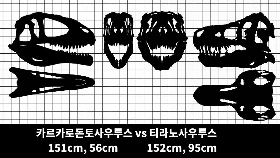 57F674DD-C77F-4843-B072-9FC3BF00E77D.png.jpg