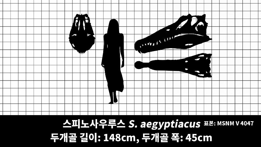 074C3F40-F678-4147-BD80-26AB91BC8836.png.jpg