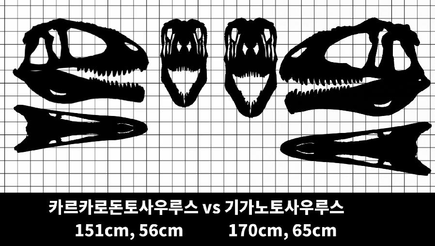 1014134A-8097-4439-88A9-3B56DE8CBC23.png.jpg