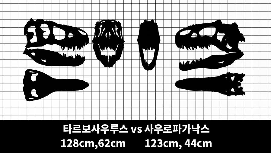 828693A5-BD07-48A4-BA95-3FA02B1AAD20.png.jpg