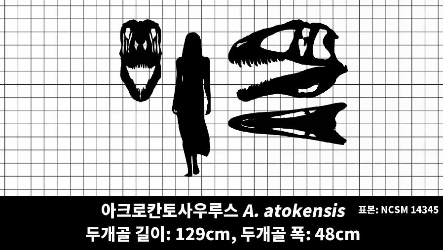 87E61B7B-E0A0-4975-A0C2-66B25D820FF9.png.jpg