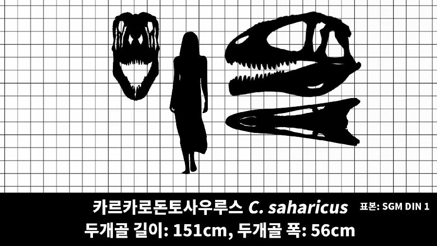 C94D98D2-2E91-464C-AC75-A4B12901231B.png.jpg