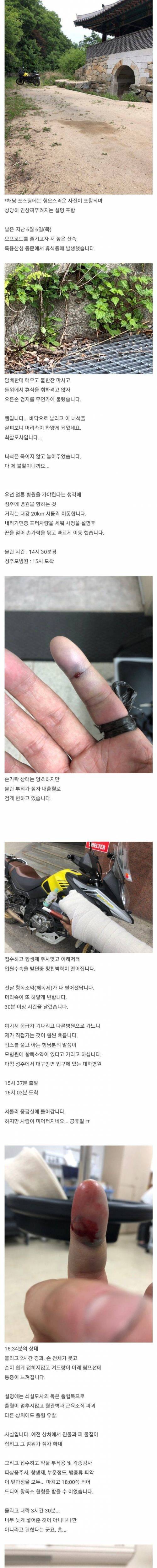 IMG_4998.jpeg 약혐) 쇠살모사에 물린 사람