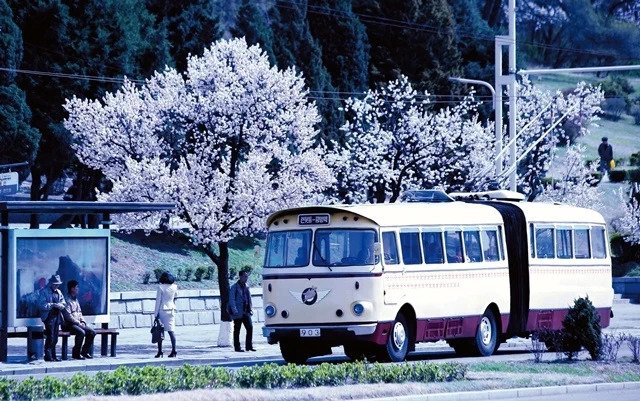 1723202924137.webp.ren.jpg 1971년의 북한 평양.jpg(스압 주의)