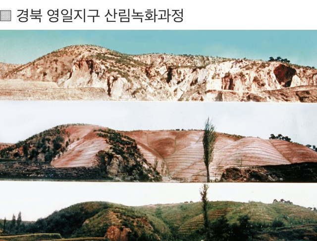 6D245E43-0A9B-4E4A-980B-7CA791D15E18.jpeg