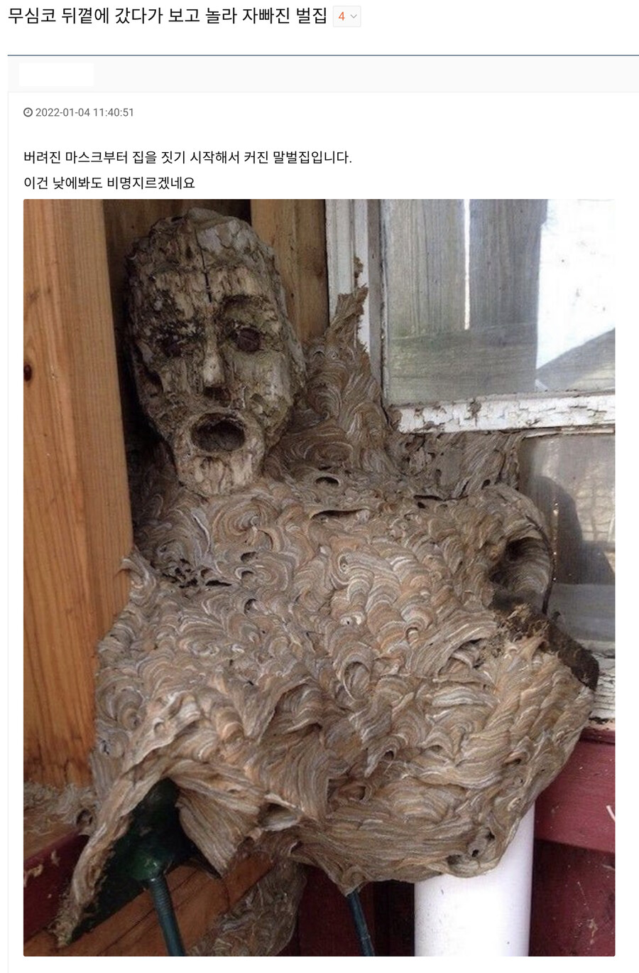 1.jpeg