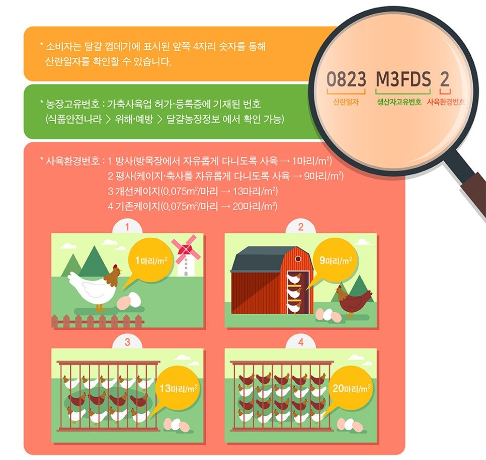 588.jpg 계란 숫자에 적힌 번호의 의미