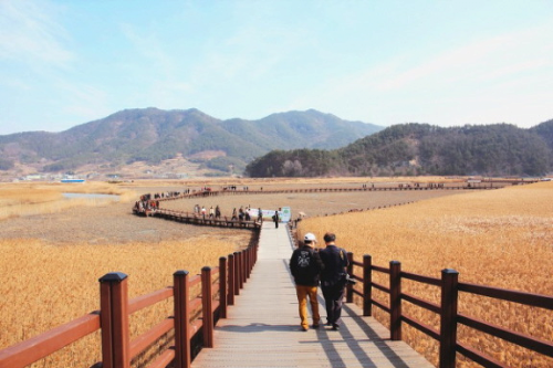 8db5c09b6d9c06a29c773ae34e1e3ccc55cb1a65.png 2000년대 이후 국내 도시들중 관광도시로 자리잡은 두 도시