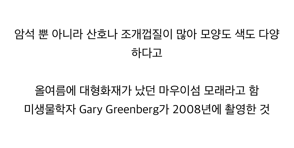 김짤.com_007.png