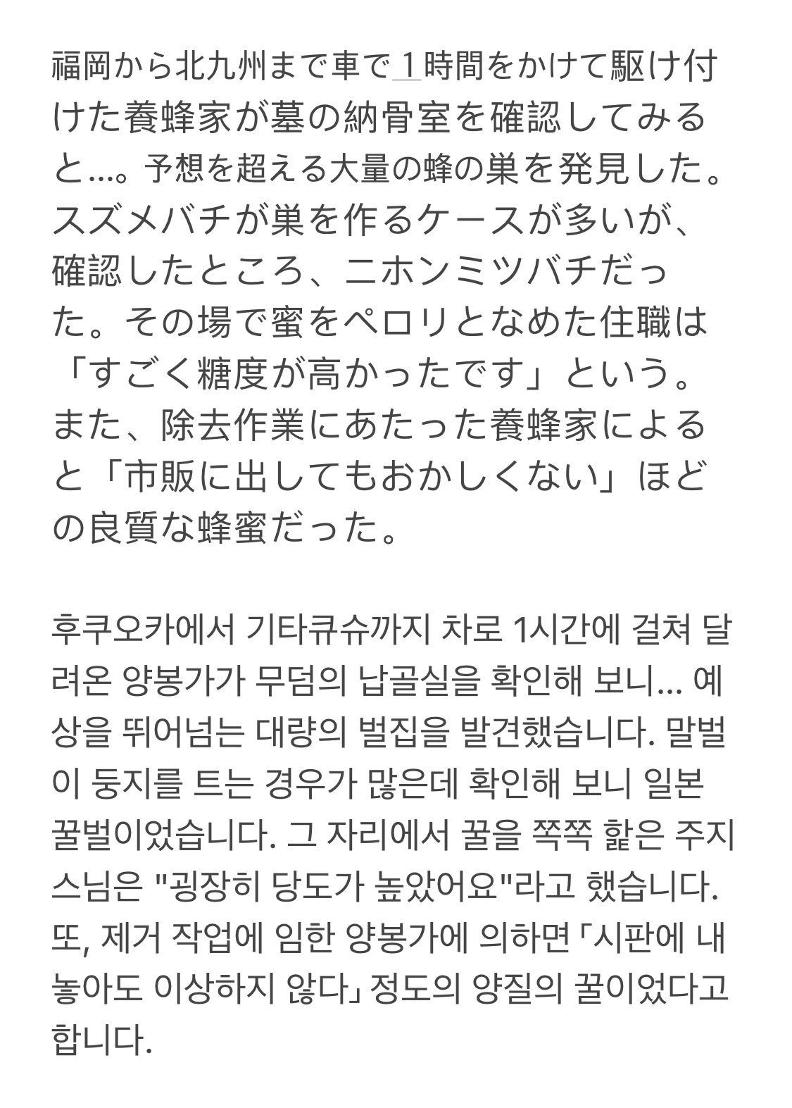 IMG_5512.jpeg 무덤에서 만들어진 벌꿀
