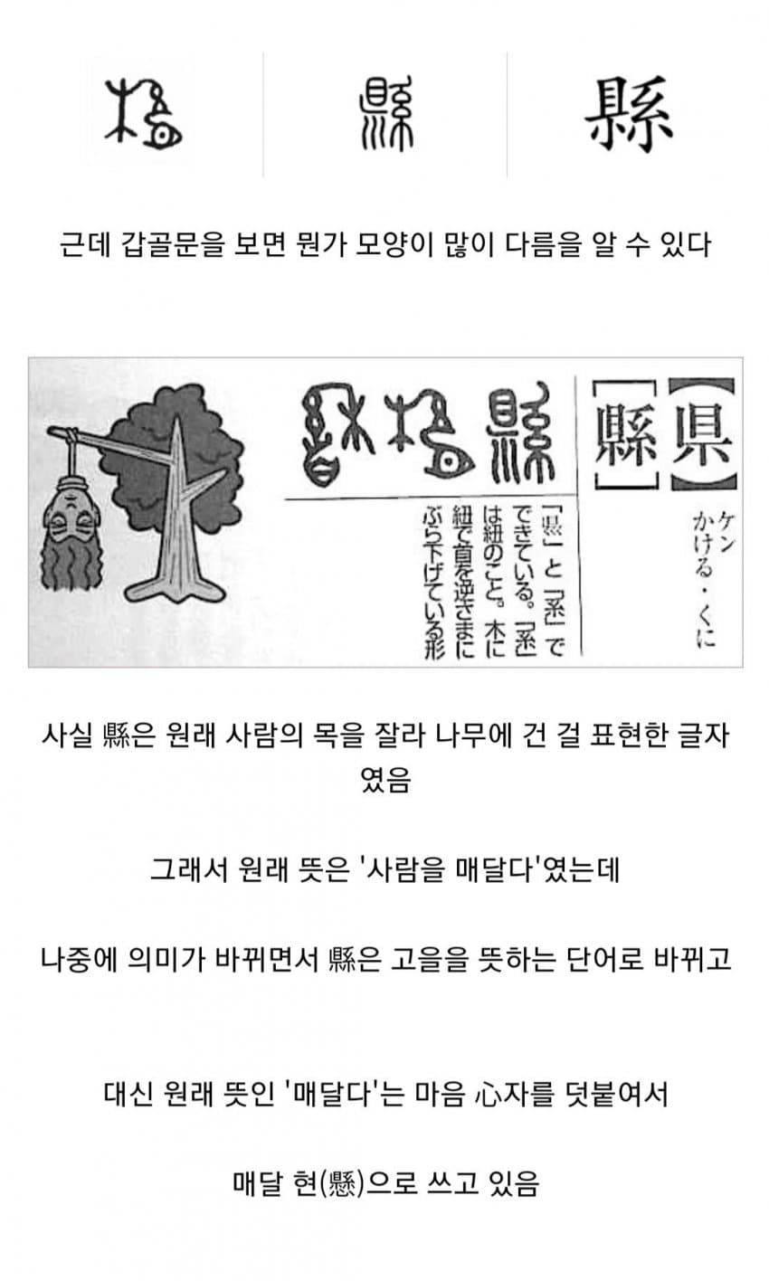 1703047321167.jpg