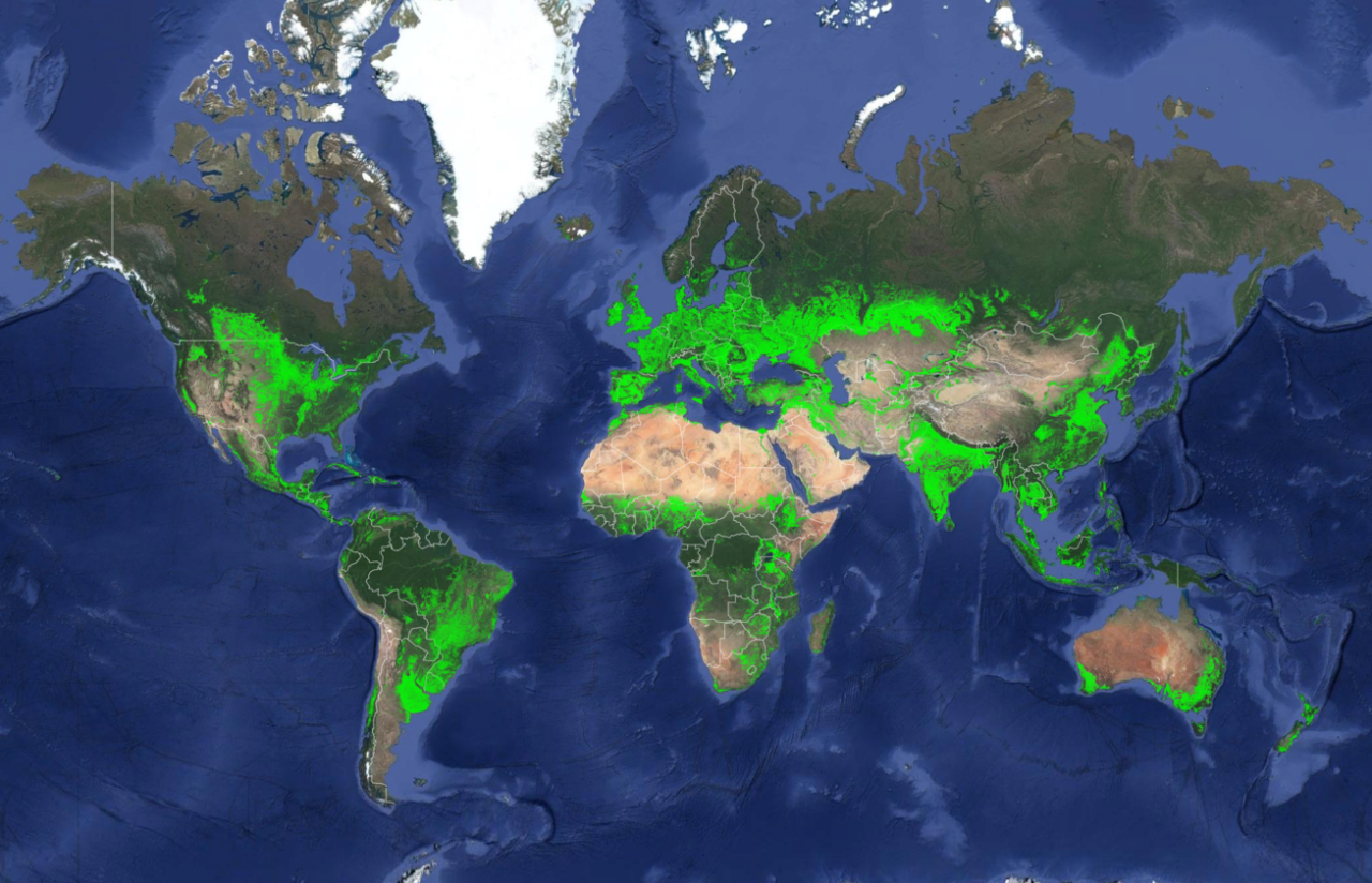 세계 경작지 지도.png 세계 경작지 지도 / 토질 지도