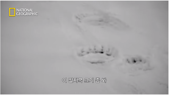 24post.co.kr_065.png