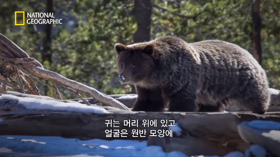 24post.co.kr_088.png