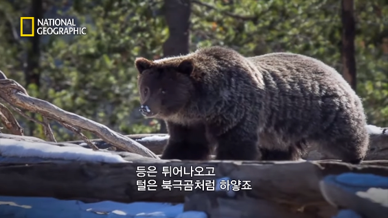 24post.co.kr_089.png